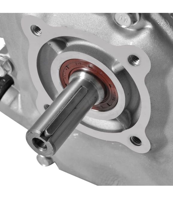 Motor a gasolina 6.5cv