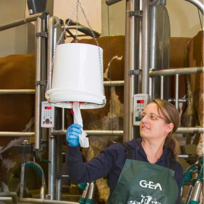 Papier do wymion w wiadrze Uddero Clean 800 szt., Kerbl