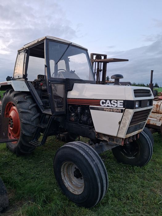 Case international 1490. David Brown