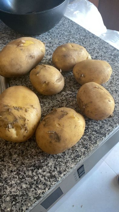 Batata nova 2 qualidades