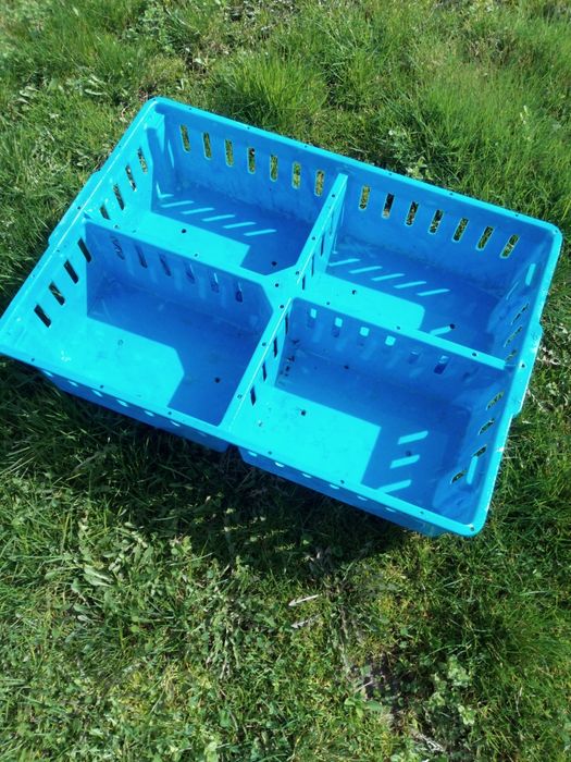 Karmiki poidełka i skrzynki do transportu piskląt