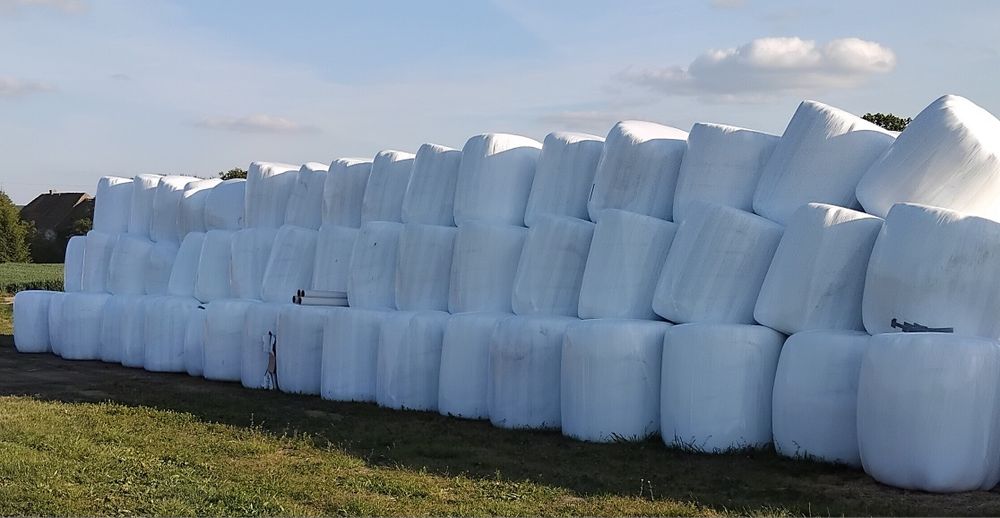 Sianokiszonka z żyta i trawy