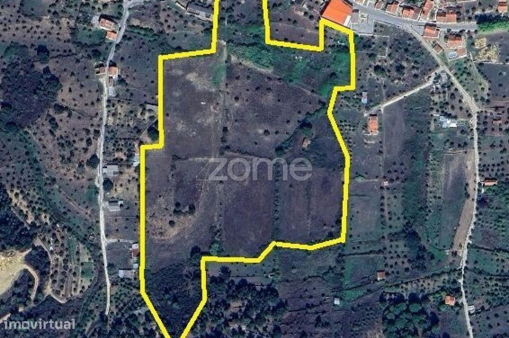 Buildable Land › Mação › Santarém