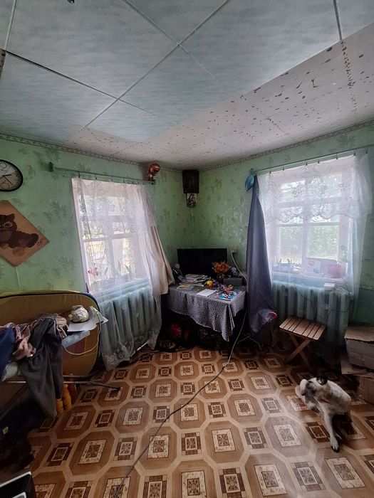 продаж будинку в с Дмитрушки
