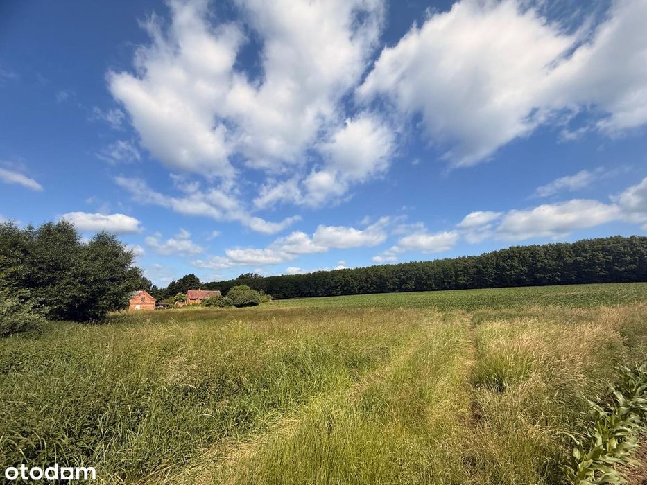 Malownicza działka budowlana 2500 m² z WZ – Cieszyny - Widok 3