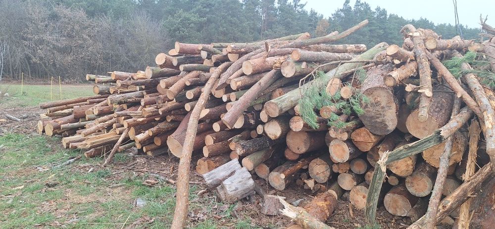 Drewno opałowe kominkowe  dąb brzoza olcha sosna