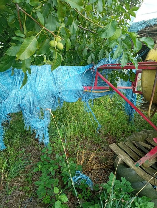 Продам оприсковач