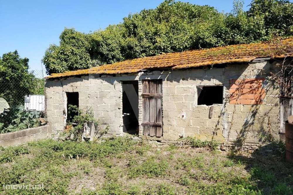 Terreno urbano para construção | 252m2 | entre Soure e Vila Nova de An
