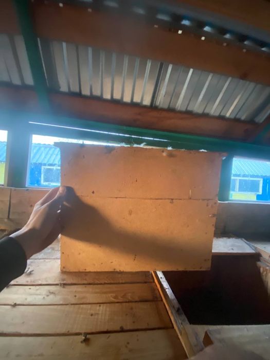 Продам бджолопавільйон на 48 сімей/ павільйон для бджіл / вулик