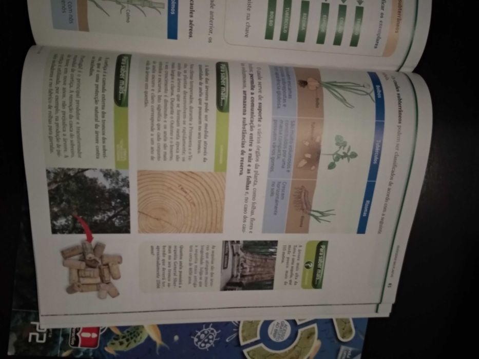 CSI / Ciências sob Investigação - Ciências 5.º ano