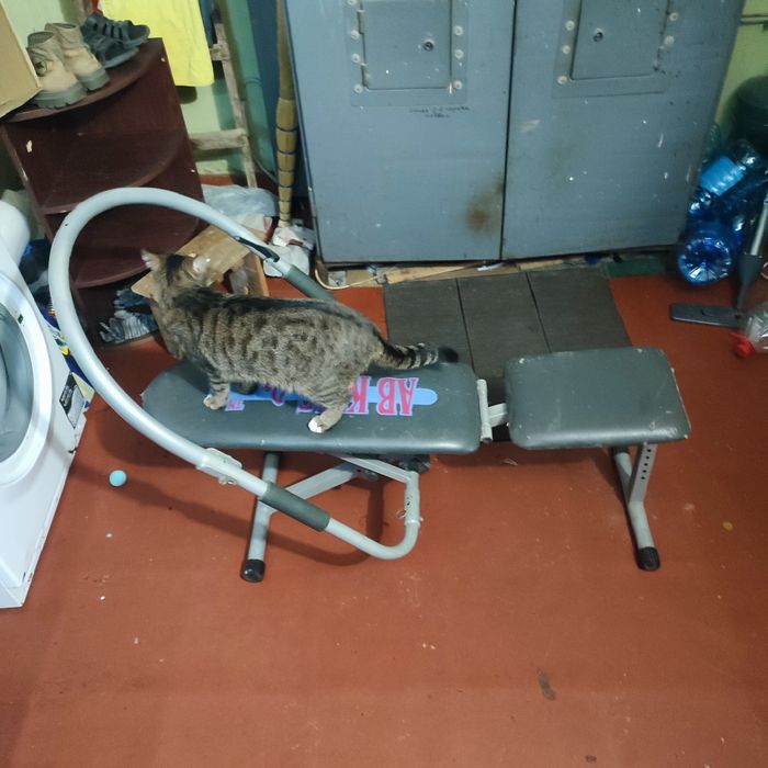 Тренажер ab king pro