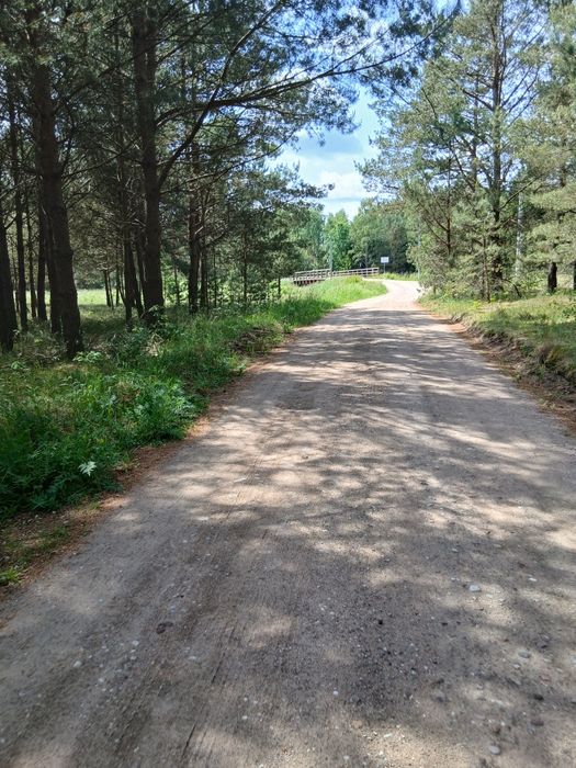 Dzialka budowlana w lesnej enklawie-Zebrowo-5 km do jeziora Wdzydze