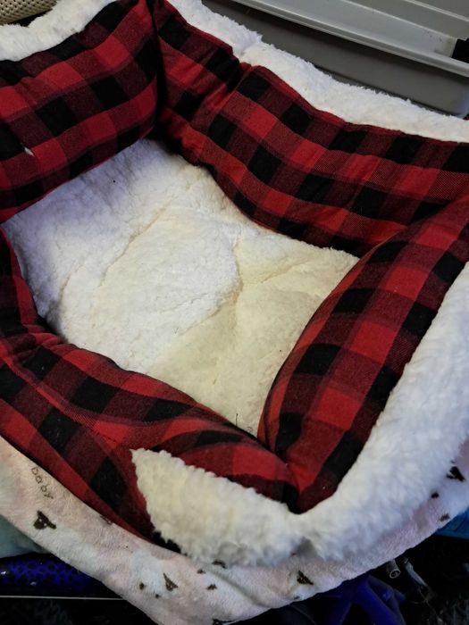 Cama para gato bom estado BAIXA DE PREÇO ANTES 25€ AGORA 20€