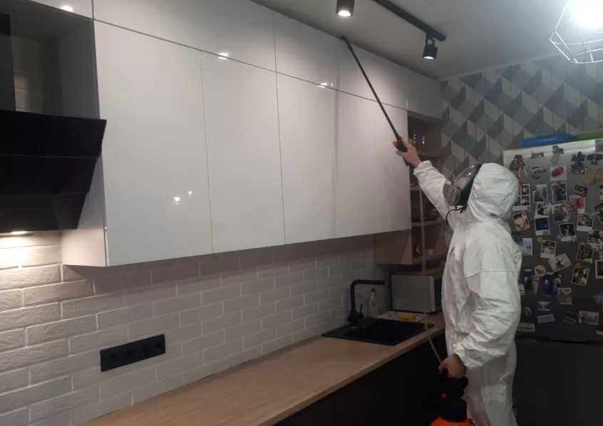 Уничтожение блох и клещей в доме обработка мебели ковров животных зон