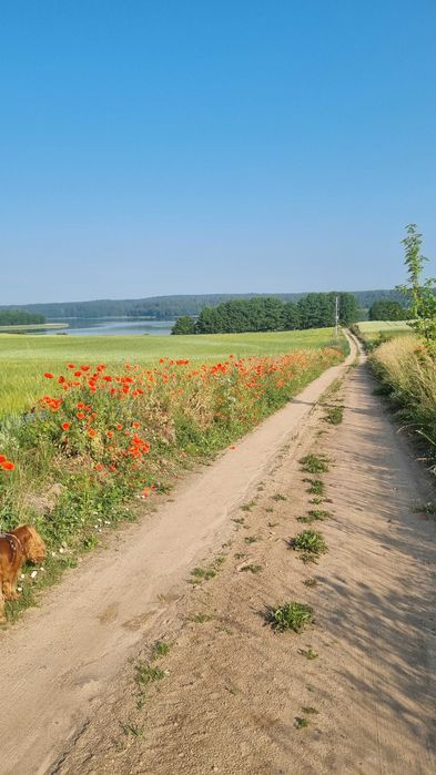 Domek nad jeziorem z własną linią brzegową Mazury Ryn, Rybical - Adaś