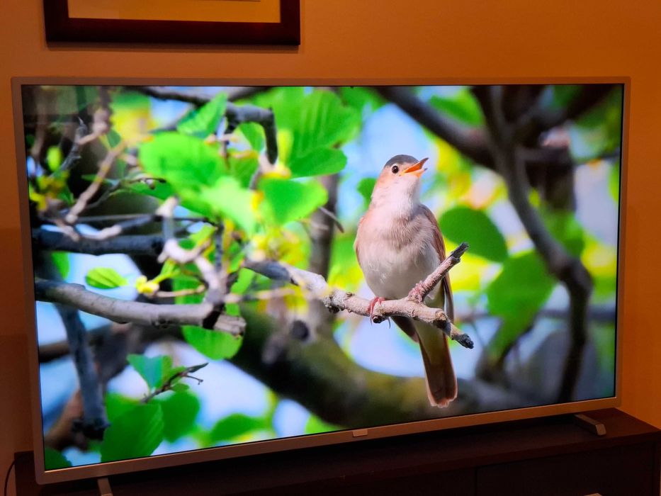 TV LED 50" Philips 50PFS5823 ; Full HD ; Smart TV ; Netflix ; YouTube ; DVB-T2 ; Tuner SAT ; Pilot