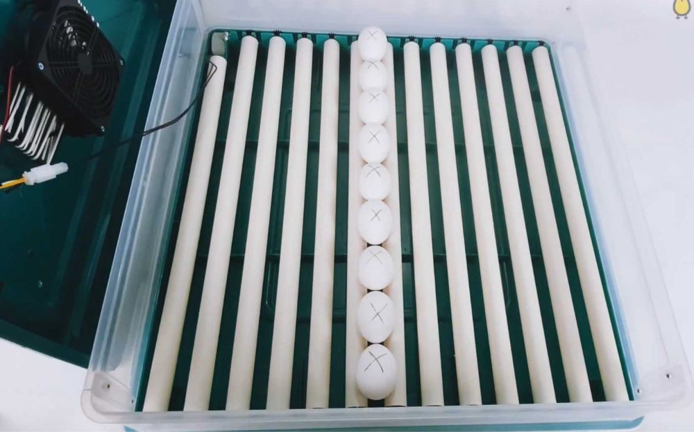 Під акумулятор! Інкубатор Автоматичний ПТАХА 220/12В Инкубатор