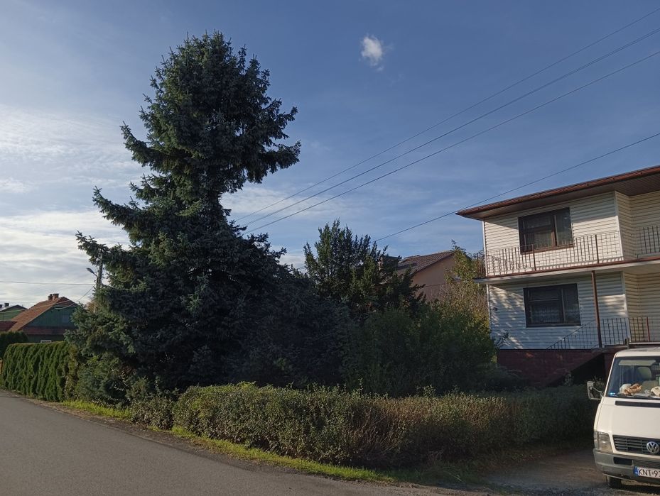 Wycinka drzew Karczowanie Zrębkowanie gałęzi Mulczer leśny Mulczowanie