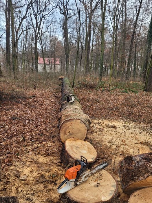 Drewno opałowe /kominkowe transport opolskie
