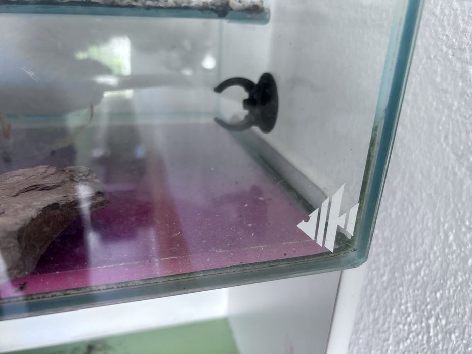 Aquario tartarugas Com filtro