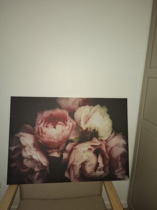 Obraz piękny piwonie