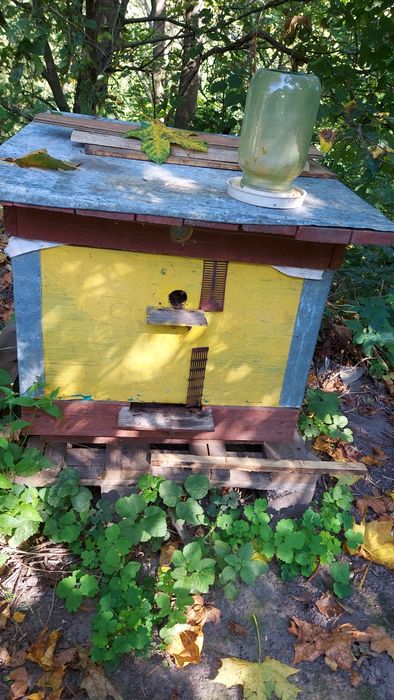 Вулики, улики, рамки