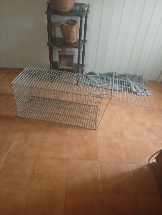 Armadilha para coelhos ou outros animais