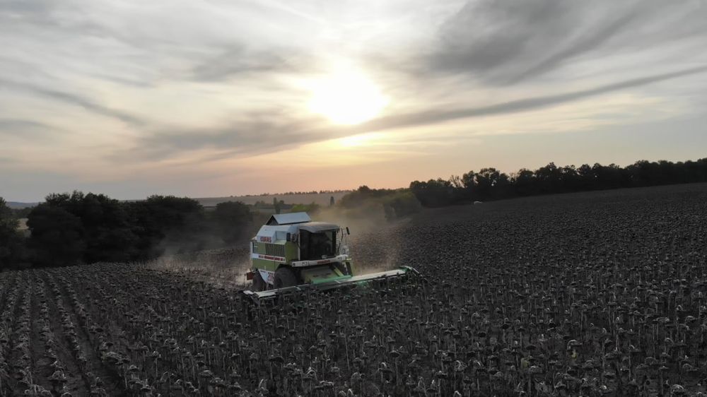 Жатка соняшникова Велес Агро СХ-8,4 жниварка (Sunspeed Maizco)