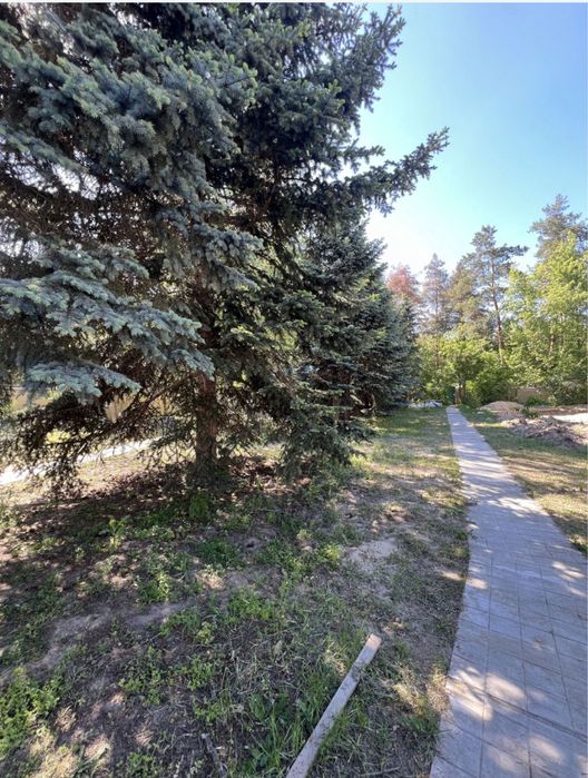 Продам дом с. Песчанка