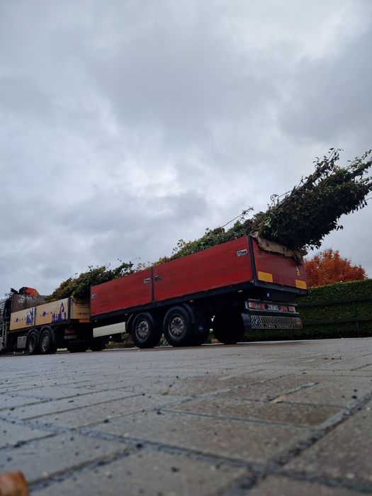 Transport HDS  usługi kontenery maszyny drzewa kruszywa wywrotki