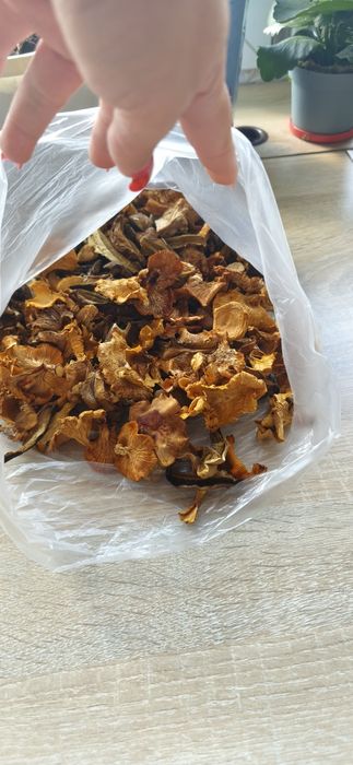 Grzyby suszone tanio