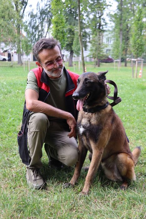 Бельгійська вівчарка