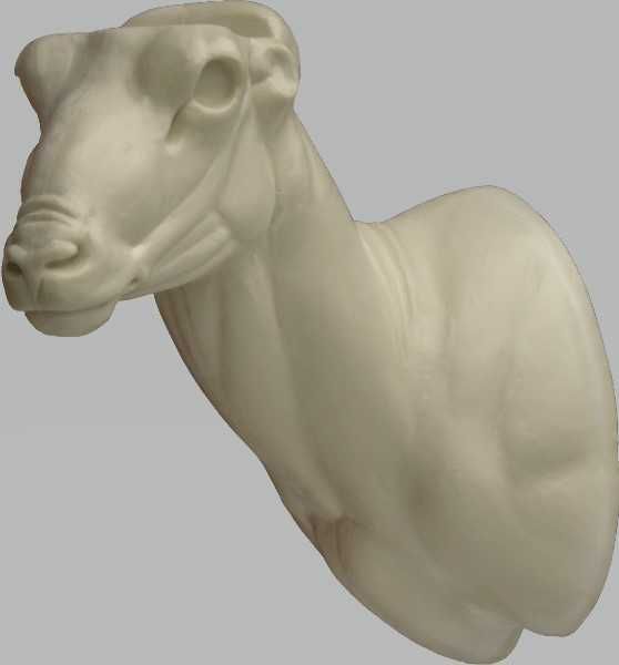 Muflon medalion Taxidermy, preparowanie, odlew