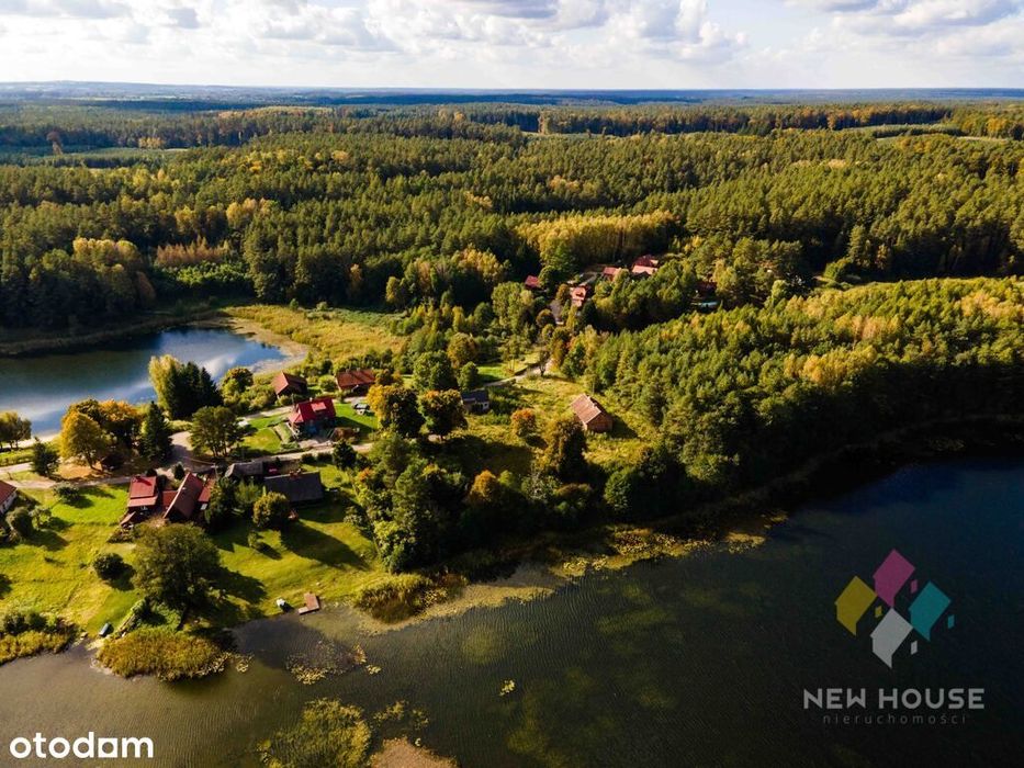 Dłużki, siedlisko nad jez. Dłużek