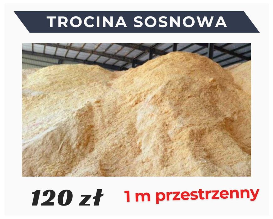 Trocina Sosnowa - Wysokiej jakości trociny Sosnowe Produkcja