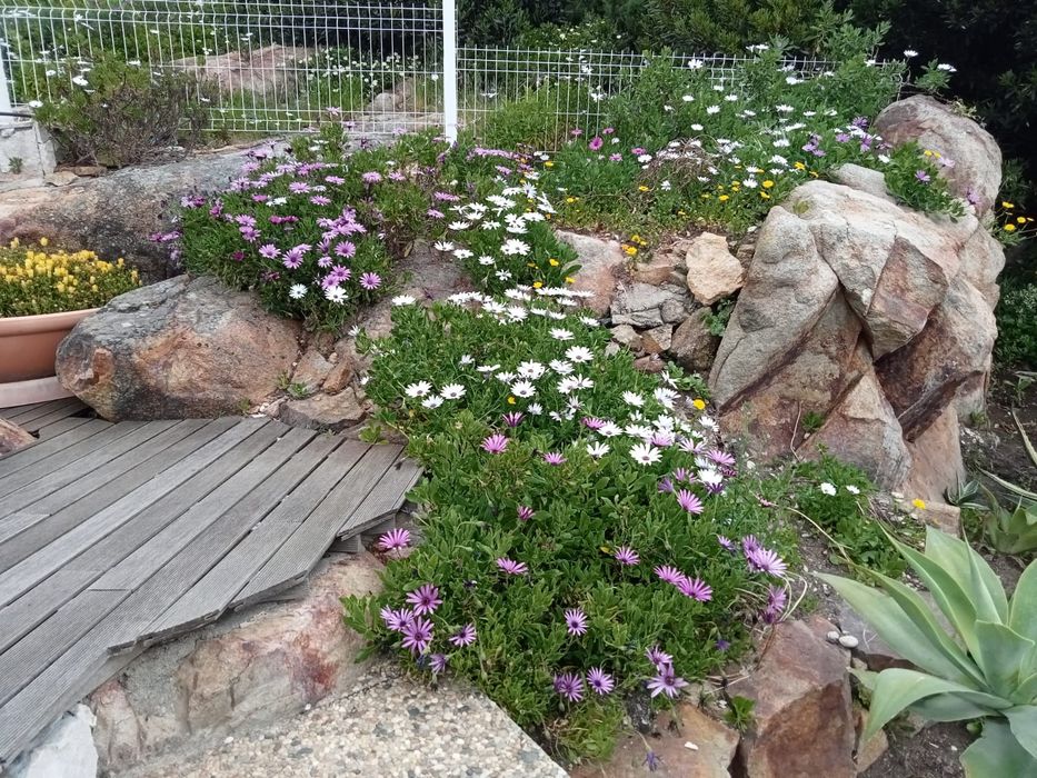 Construção e Manutenção de jardins / Consultoria