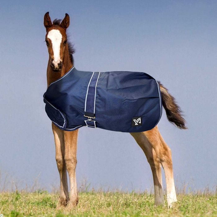 Derka York Foal źrebięca padokowa przeciwdeszczowa 100g 85cm