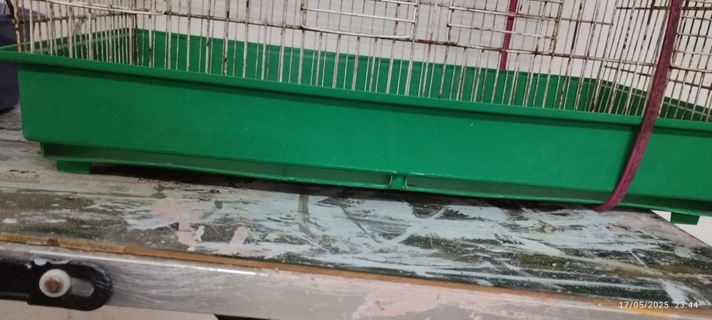 Gaiola usada por 5€. Em Loulé.