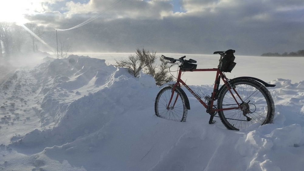 Marin Bolinas Ridge 26" – napęd 1x, Schwalbe, WTB Volt