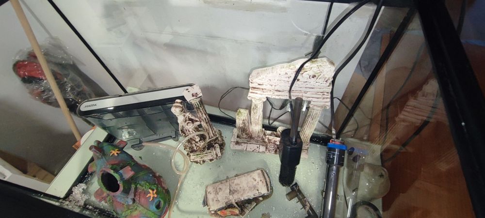 Aquário com acessórios