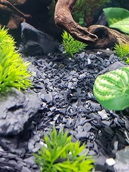 Czarny Kamień do Akwarium Skała Black Grey Stone Malawi Tanganika Grys