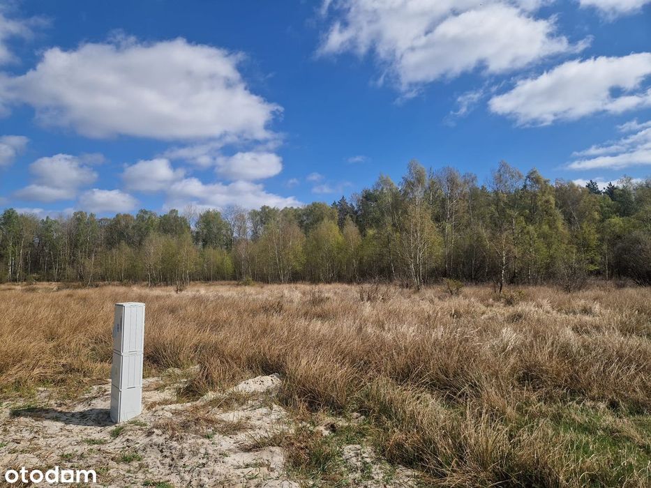 Działki budowlane 10 minut od Szczecina