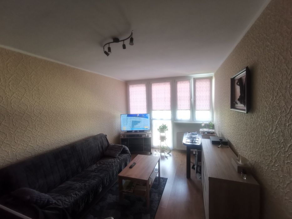 Zdjęcie 3