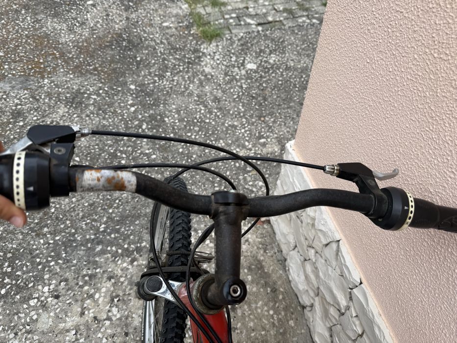 Bicicleta de montanha