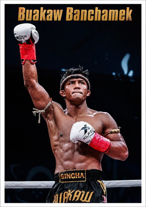 Posters novos Muay Thai