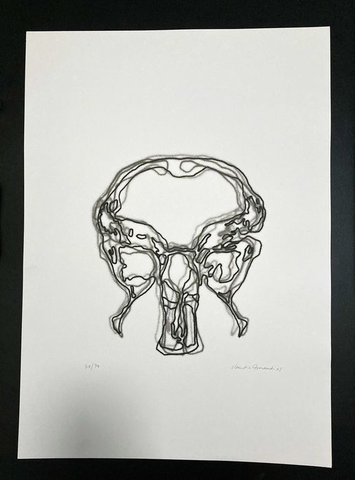 Serigrafia de Cláudia Amandi