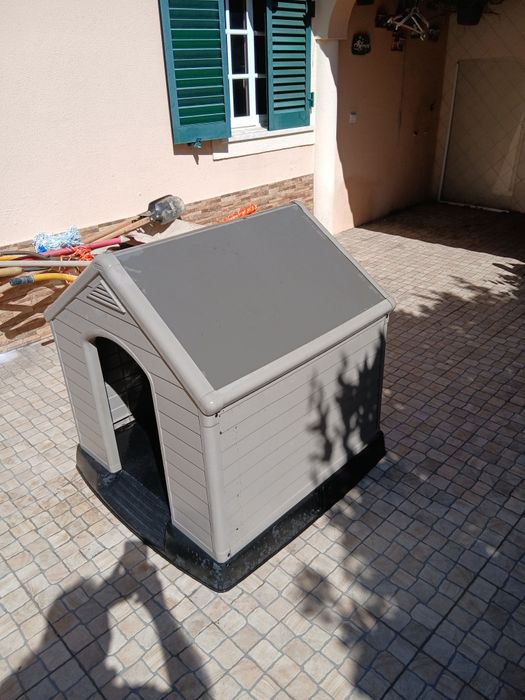 Casota cão grande
