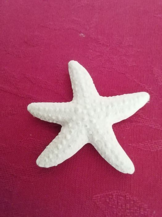 Íman Estrela do mar, novo