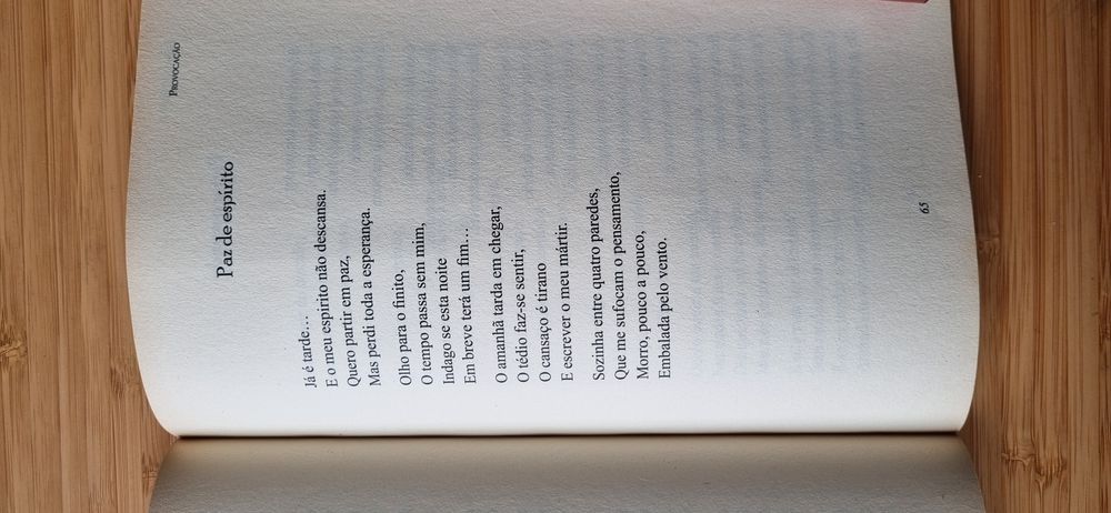 Provocação- Daniela Torrinha