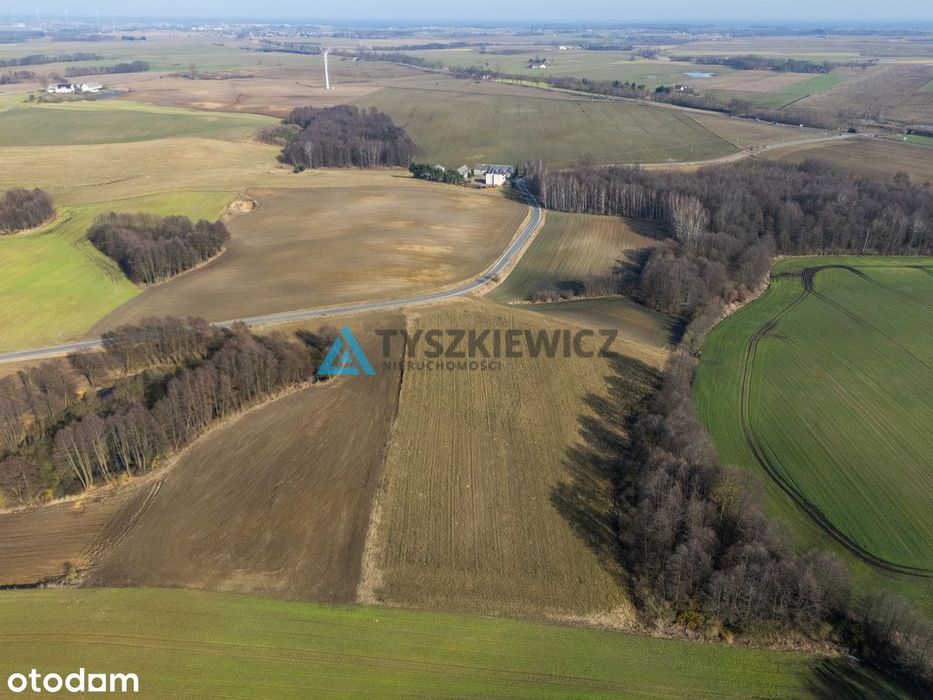 Działki z wydanymi WZ